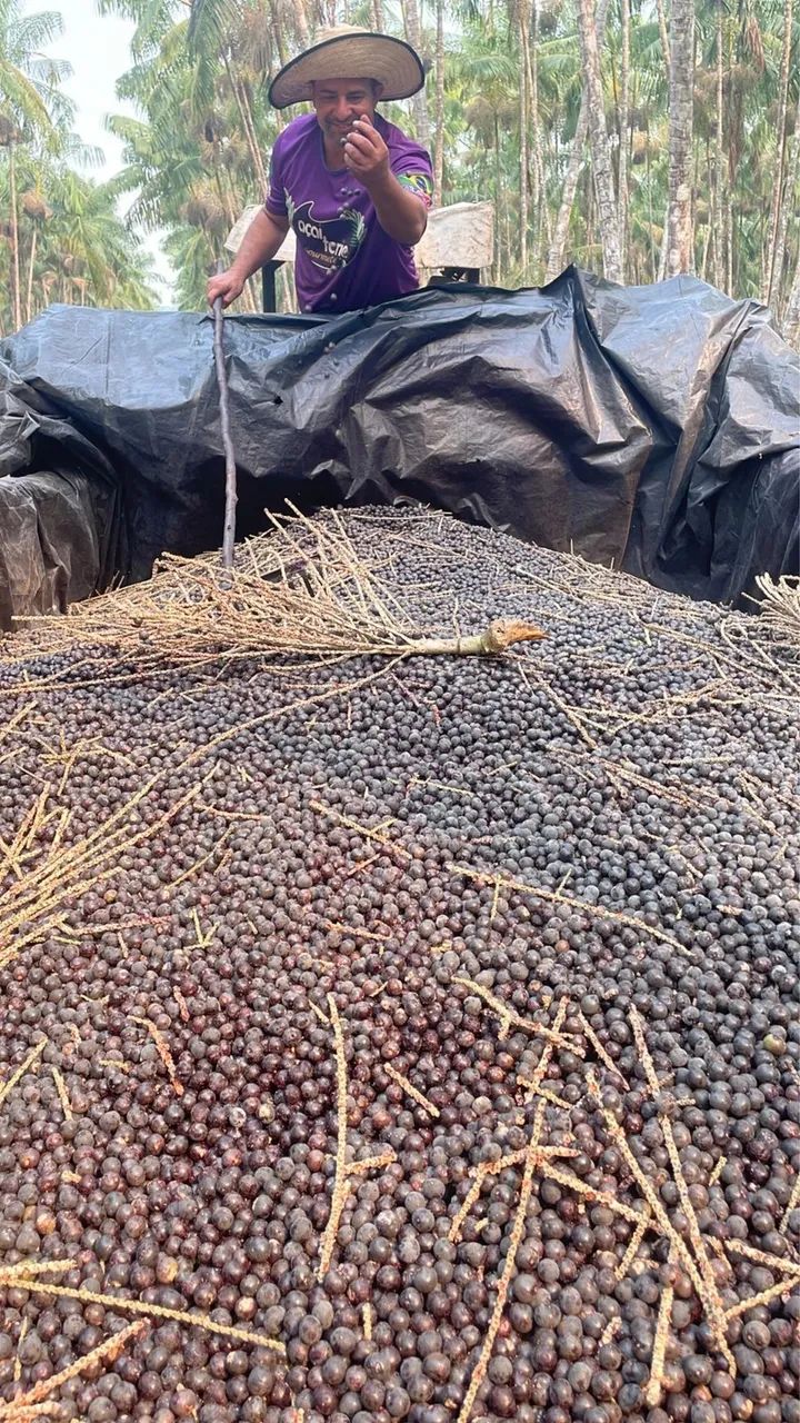 AÇAÍ PREMIUM 5L/4,5kg - Foto 3