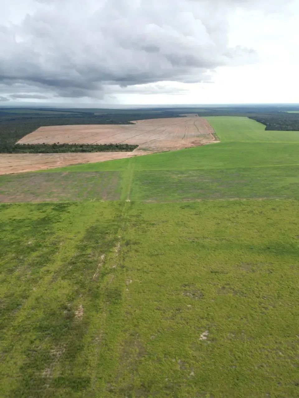 Fazenda a venda, no Tocantins 8 anos para pagar! - Foto 5