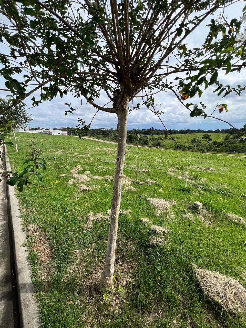 TERRENO TERRAS ALPHAVILLE - Foto 5