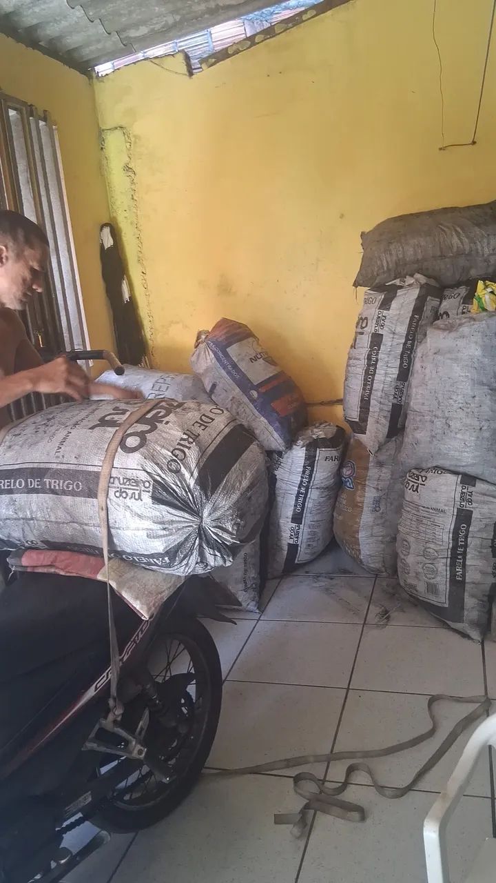 Carvão  - Foto 4