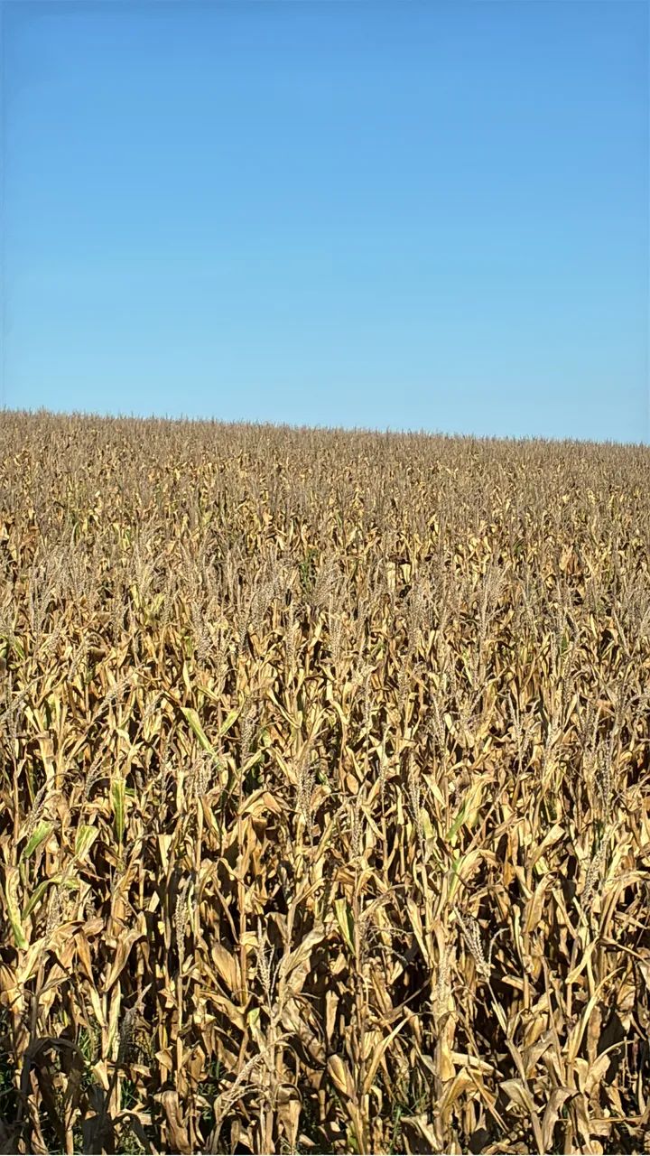 Área rural - Foto 2