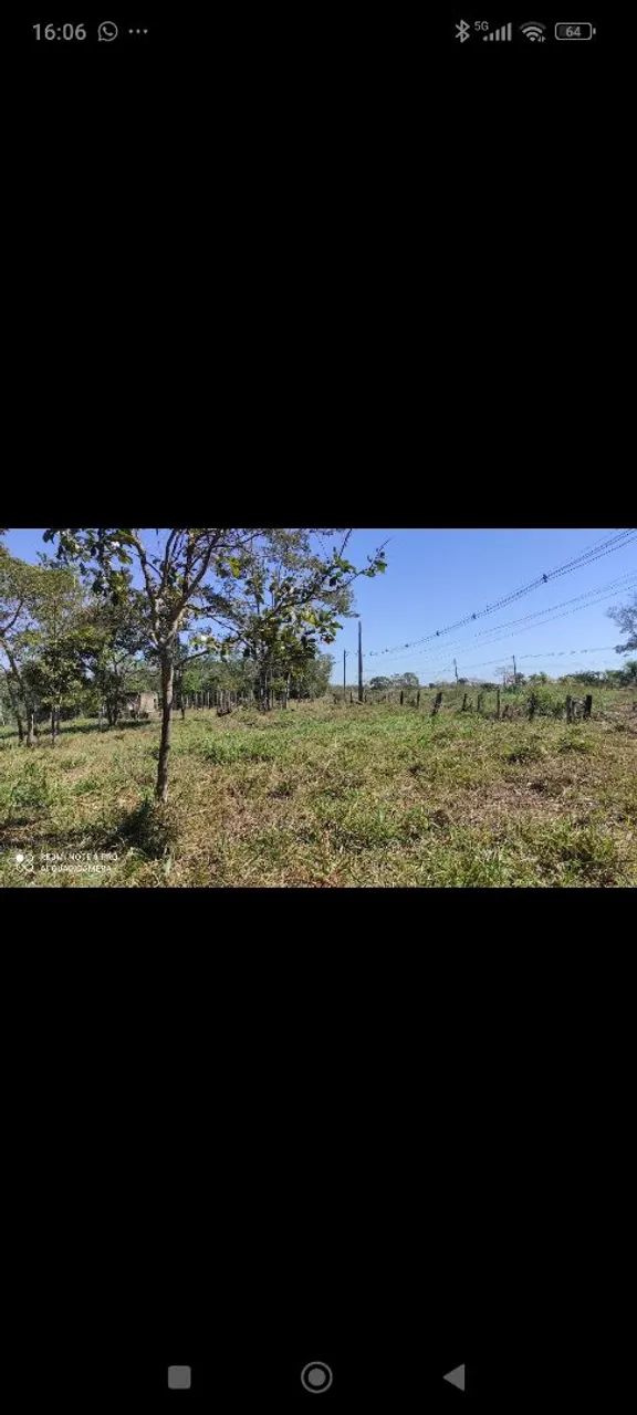 Área verde de 3 hectares