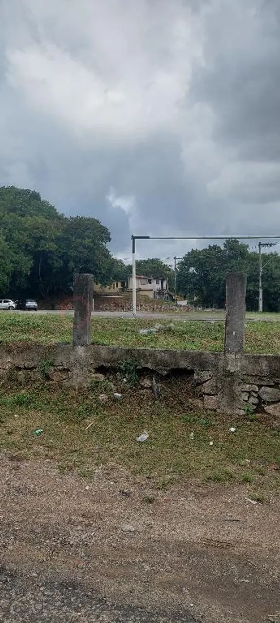 Terreno para investimento - Foto 4