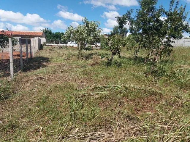 Foto - Brasília - St Leste