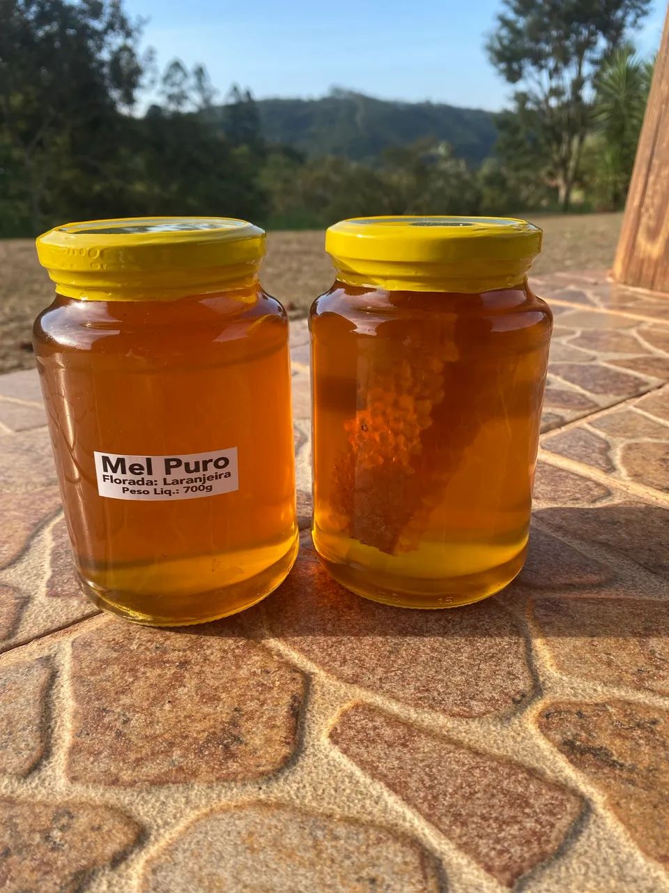 MEL PURO 100% NATURAL 700g