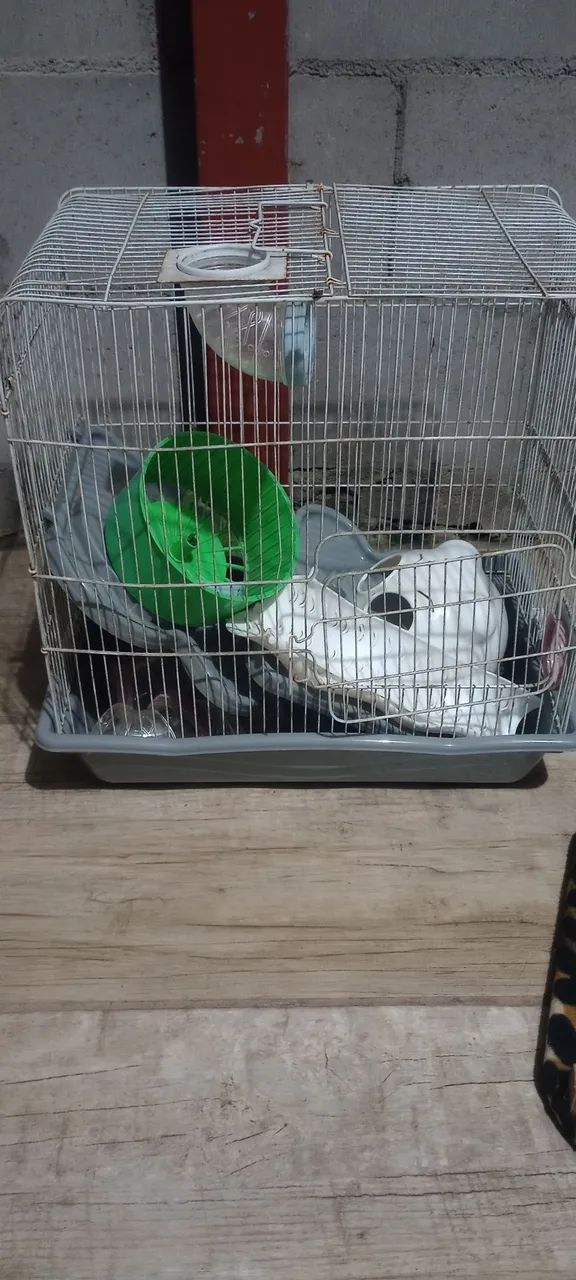 Gaiola ramester e passaro
