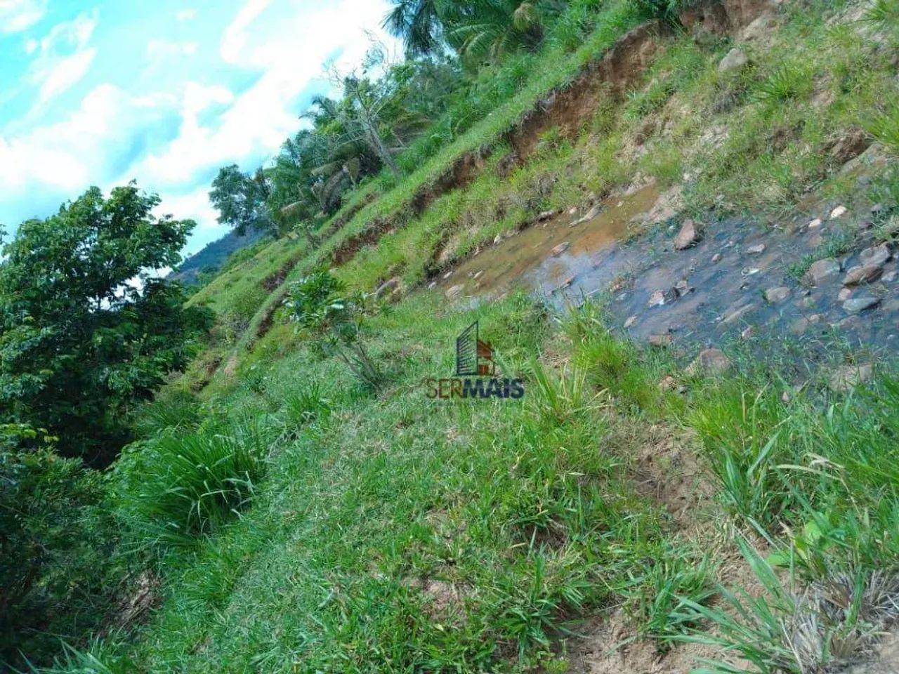 Sítio à venda - Urupá/RO - Foto 4