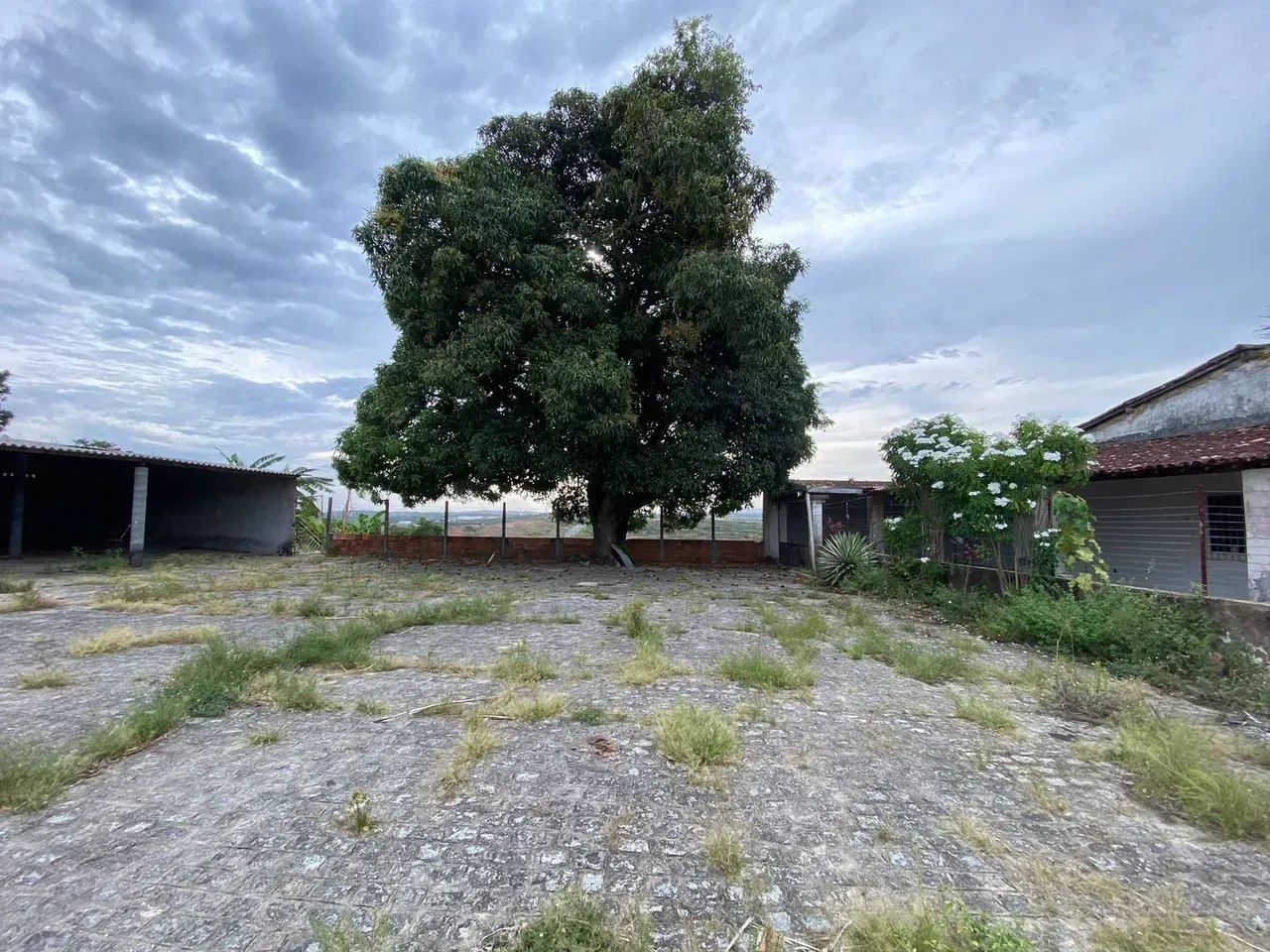 Imóvel para aluguel com 15 metros quadrados com 3 quartos - Foto 4