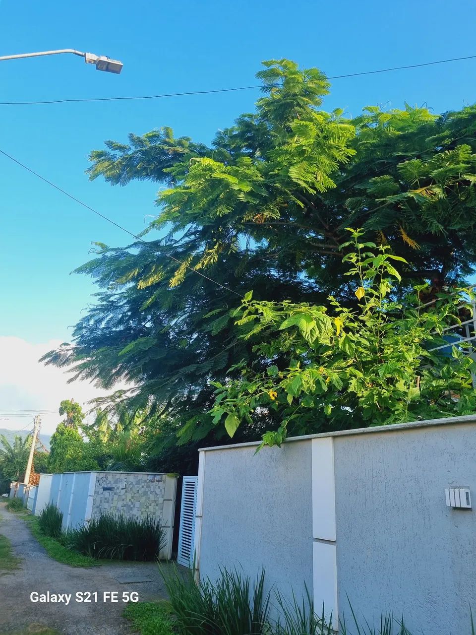 ALUGUEL ANUAL - Foto 4