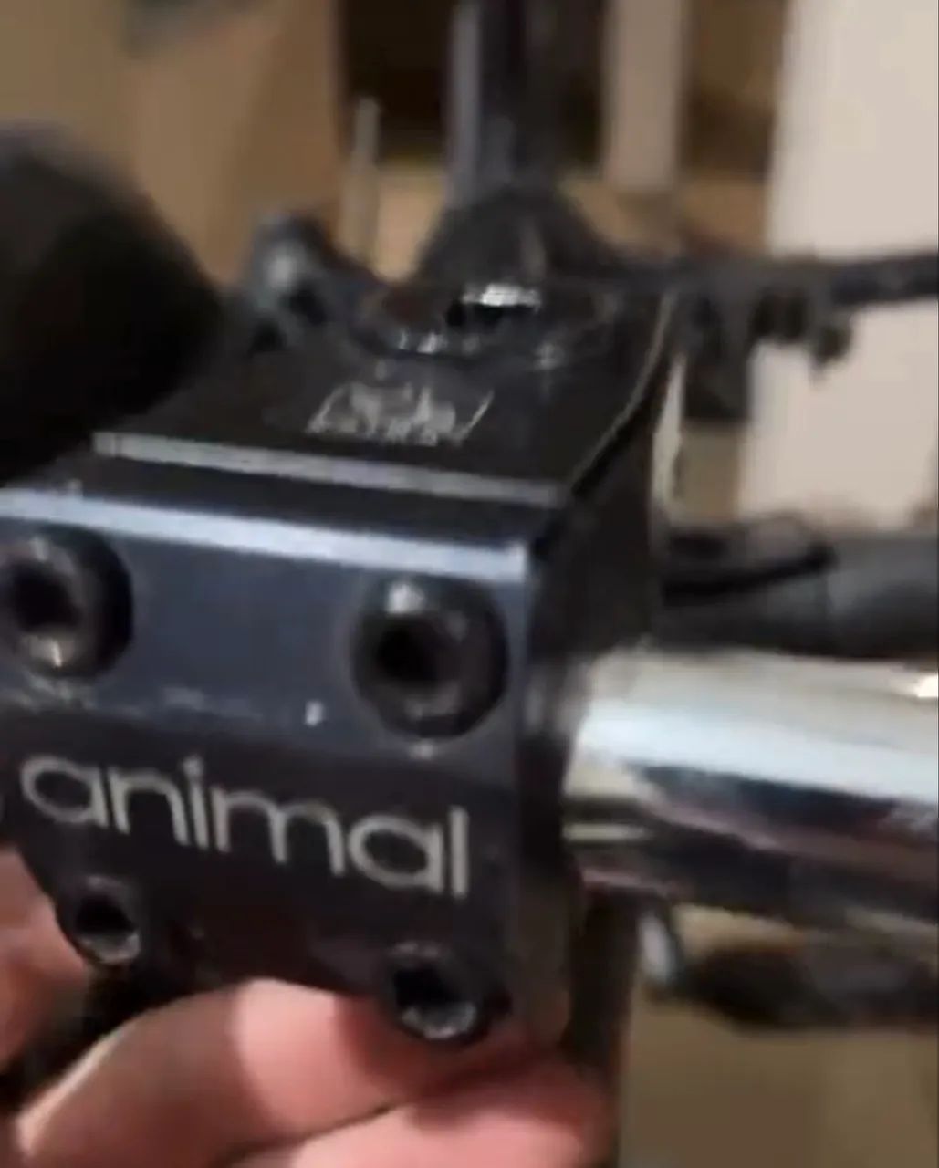 Mesa animal 48mm frontload