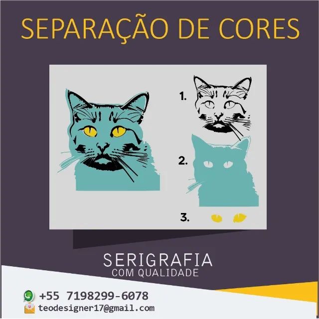 Designer gráfico - Foto 3