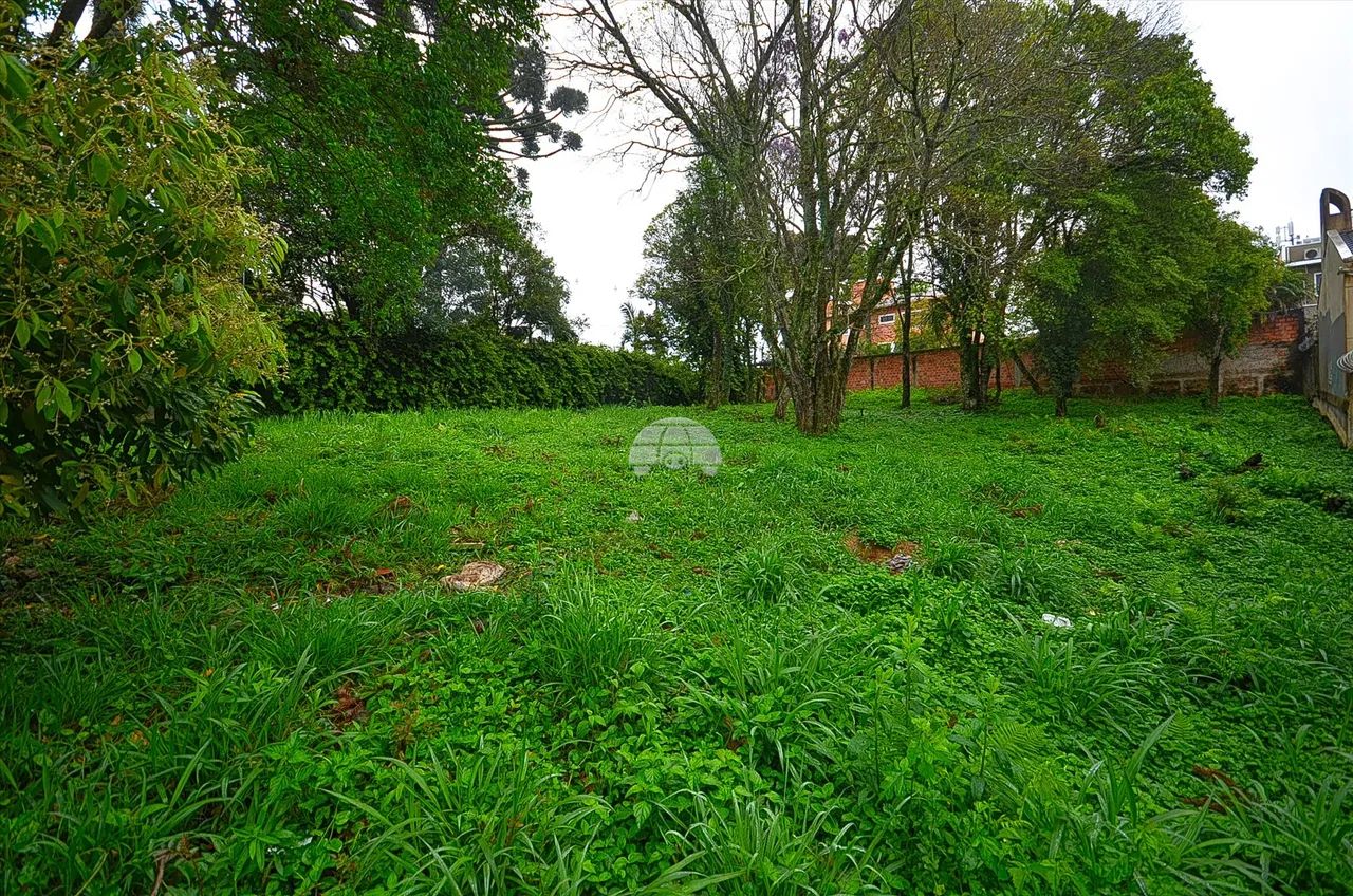 Vendas Terreno Curitiba PR - Foto 3