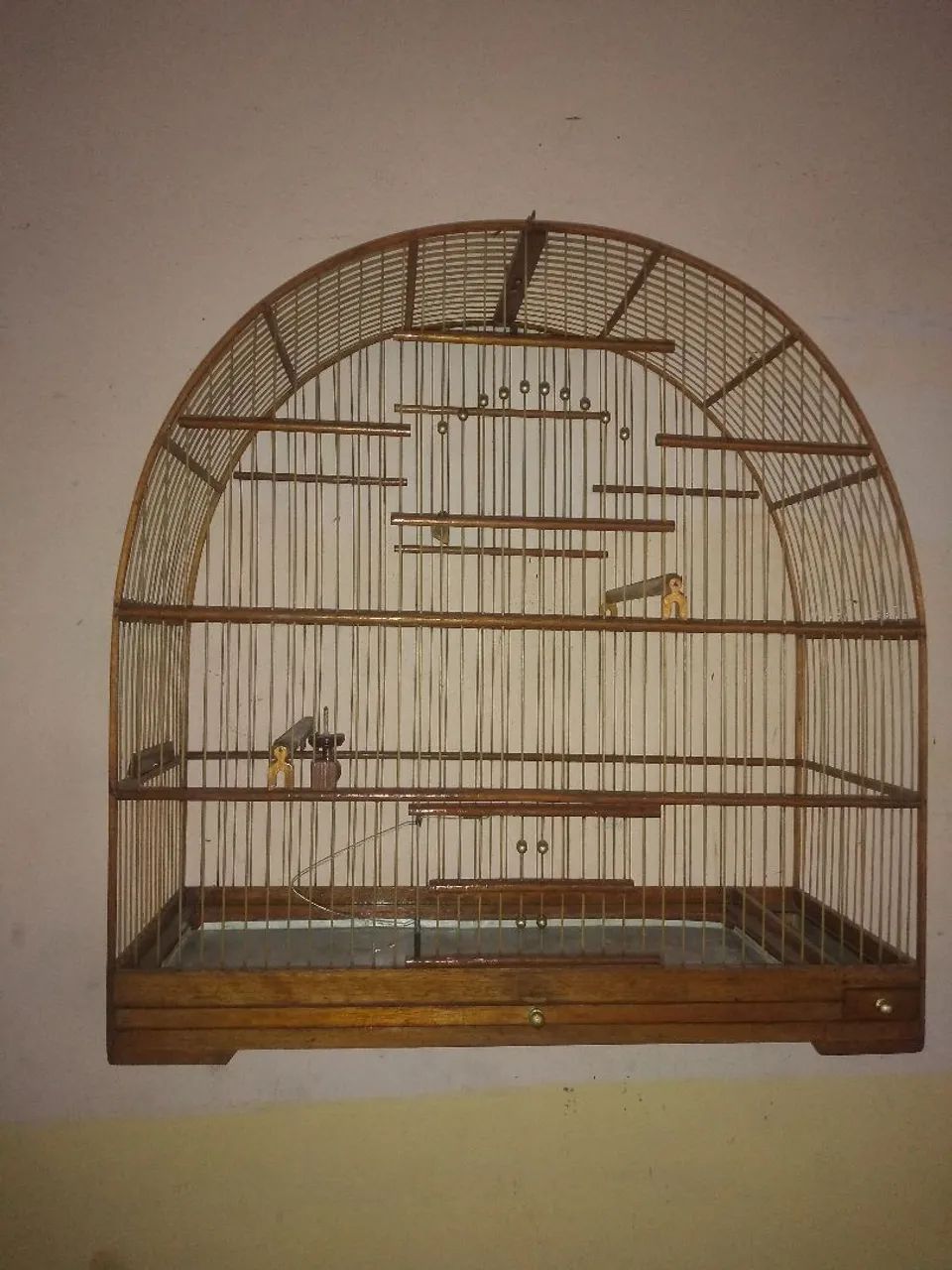 Gaiola 