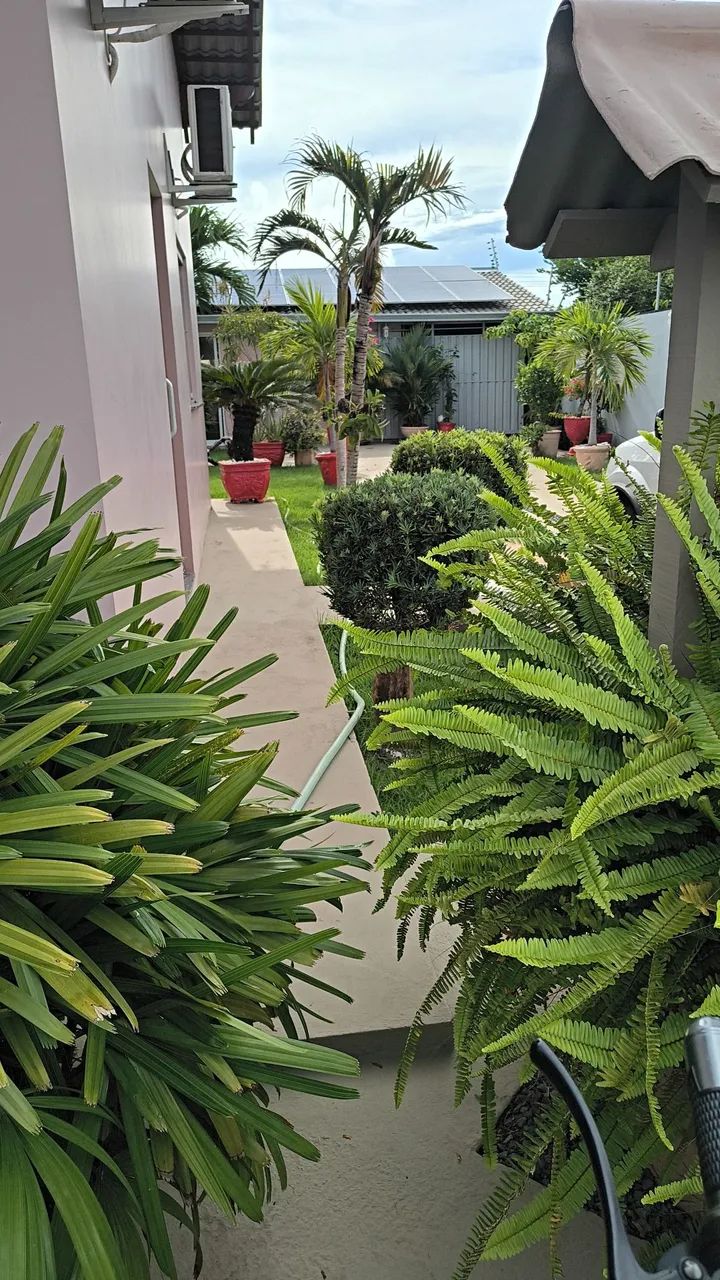 Limpeza de terreno , poda de árvore trabalho de jardinagem  - Foto 4