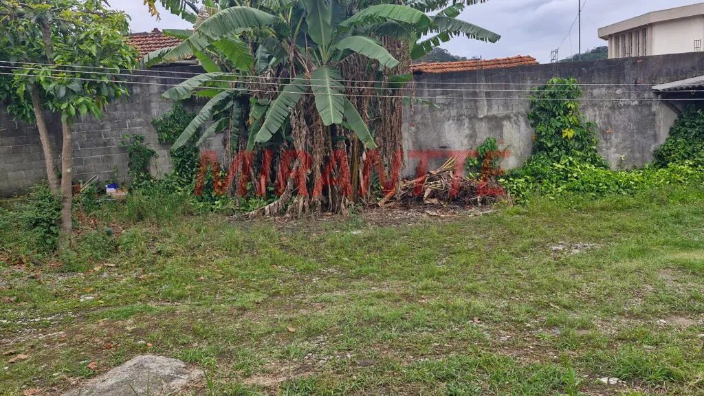 Terreno em Vila Albertina - Foto 2
