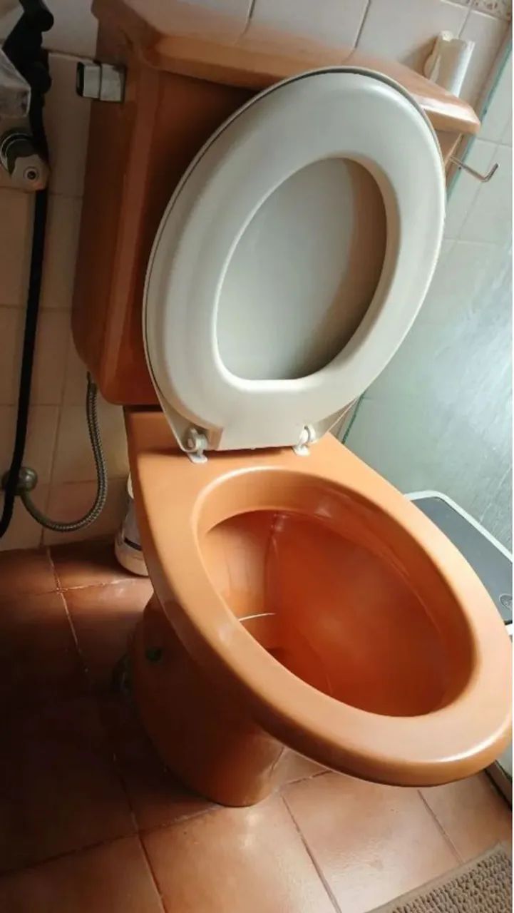 Vaso sanitário  - Foto 3