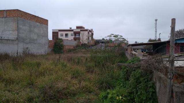 Terreno à venda em Parque da fonte, São josé dos pinhais cod:EB-2319 - Foto 2
