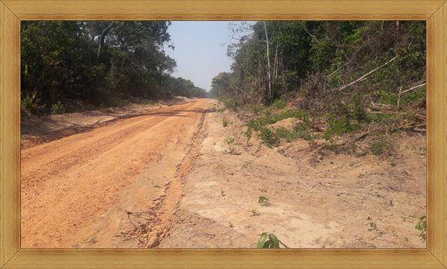 2200 Hectares,Lavoura e pecuária Tabaporã-MT,aceito permuto Cuiabá e Brasil - Foto 2