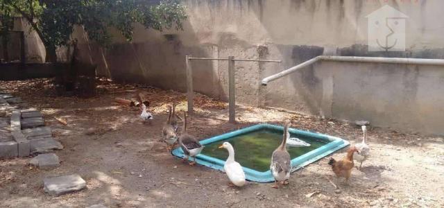 Sítio rural com 2 dormitórios à venda, 1500 m² por R$ 370.000 - Chácaras de Inoã (Inoã) - - Foto 6