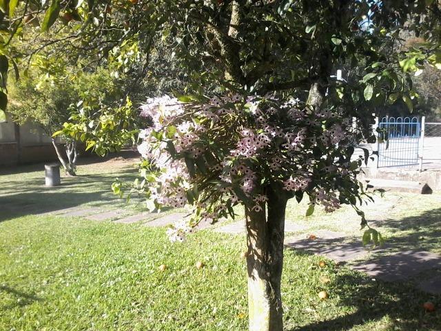 Pousada em Espaço Rural - Foto 18