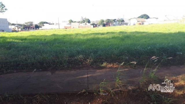 8046 | Terreno à venda em Centro, Nova Esperança - Foto 4