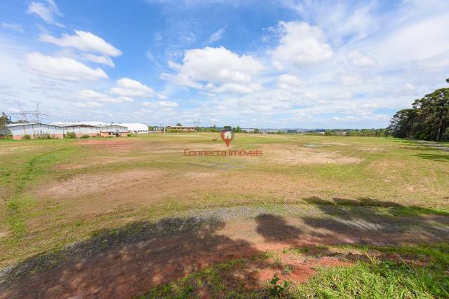 Área de 109.000.000 m² a venda em araucária. - Foto 4