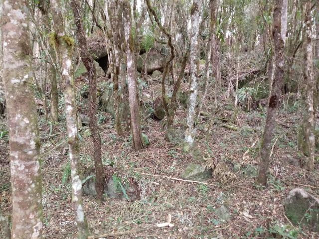 Terreno em lagoa dos ferreiras Mandirituba 24.200m 1 alqueire - Foto 19