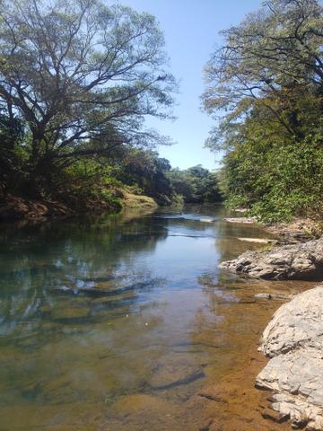 Fazenda de 510ha em Buritis MG