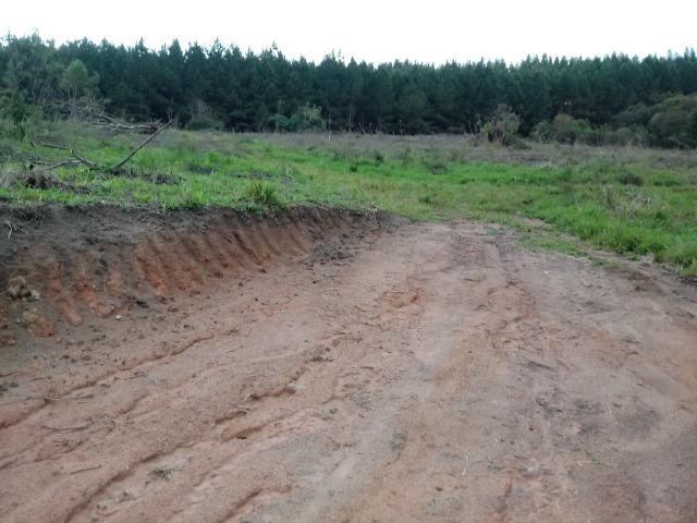 Terreno em lagoa dos ferreiras Mandirituba 24.200m 1 alqueire - Foto 17