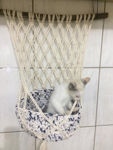 Cesto suspenso em Macramê para gatos - Foto 4