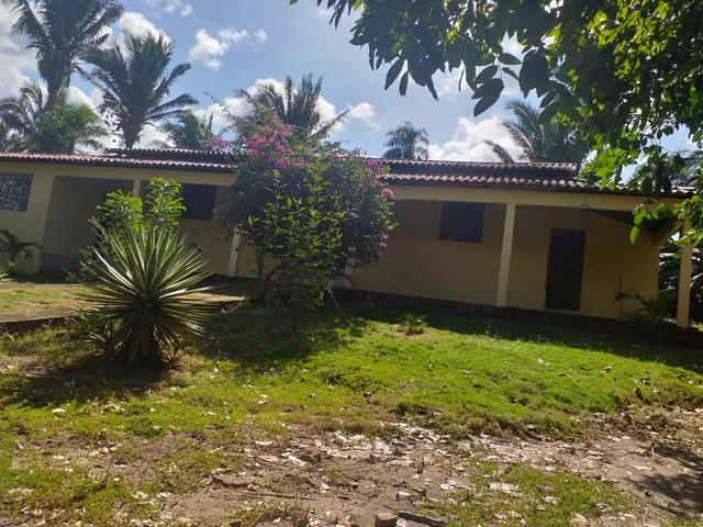 Vende-se sítio no cajupari próximo a expoema - Foto 11
