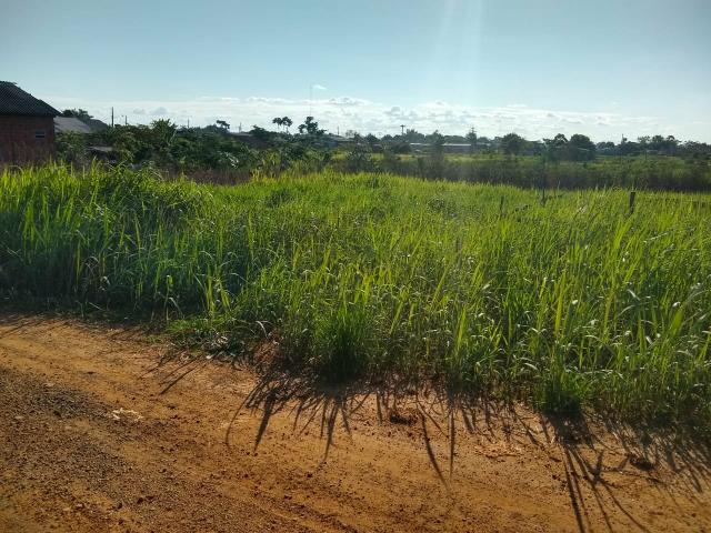 Terreno - Foto 2