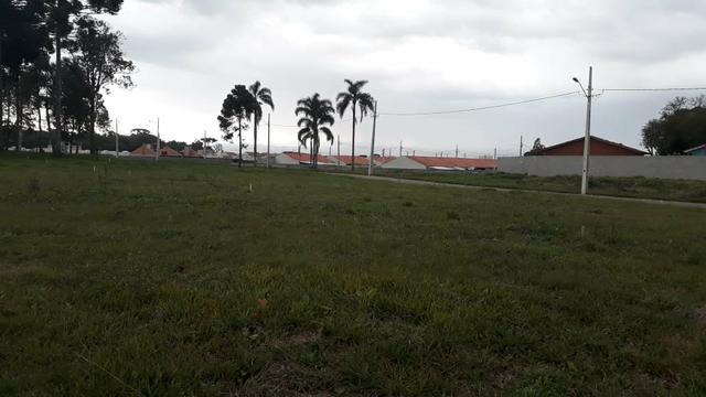 Terrenos - Foto 11