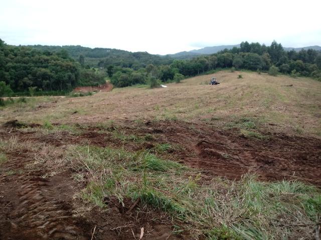 Terreno em lagoa dos ferreiras Mandirituba 24.200m 1 alqueire - Foto 14