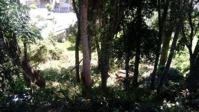 Terreno em Gramado - 12x25 - próx ao centro - Foto 2