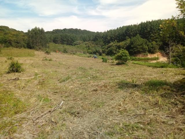 Terreno em lagoa dos ferreiras Mandirituba 24.200m 1 alqueire - Foto 15