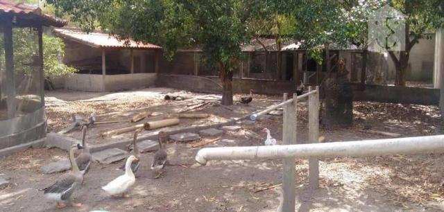 Sítio rural com 2 dormitórios à venda, 1500 m² por R$ 370.000 - Chácaras de Inoã (Inoã) - - Foto 8