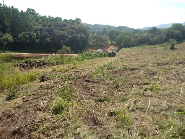 Terreno em lagoa dos ferreiras Mandirituba 24.200m 1 alqueire - Foto 7