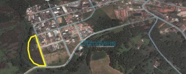 Área à venda, 9087 m² por r$ 1.740.000,00 - campina da barra - araucária/pr - Foto 7
