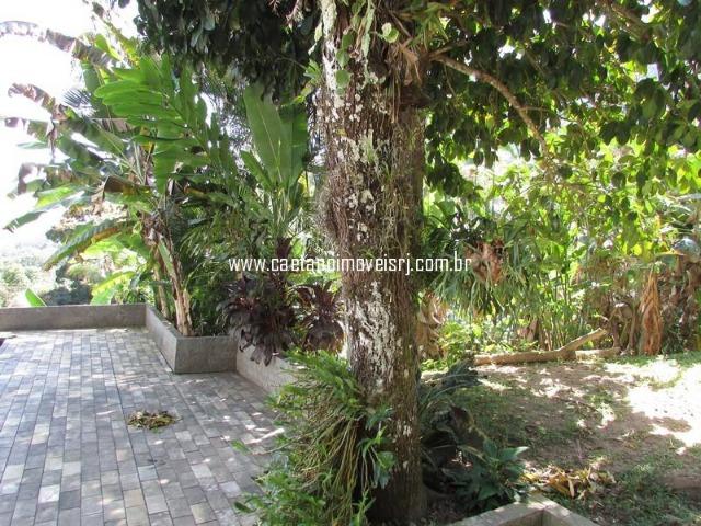 Caetano Imóveis - Sítio para quem ama a natureza! (rico em água e muito verde!) - Foto 14