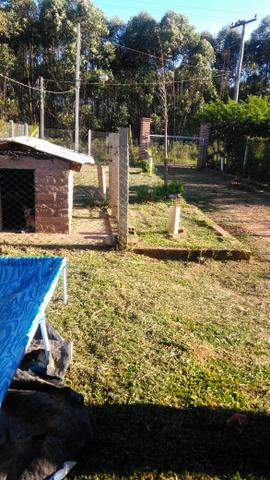 Vendo ou troco uma casa em Nova Santa Rita, bairro Sanga funda, troco p Canoas - Foto 9