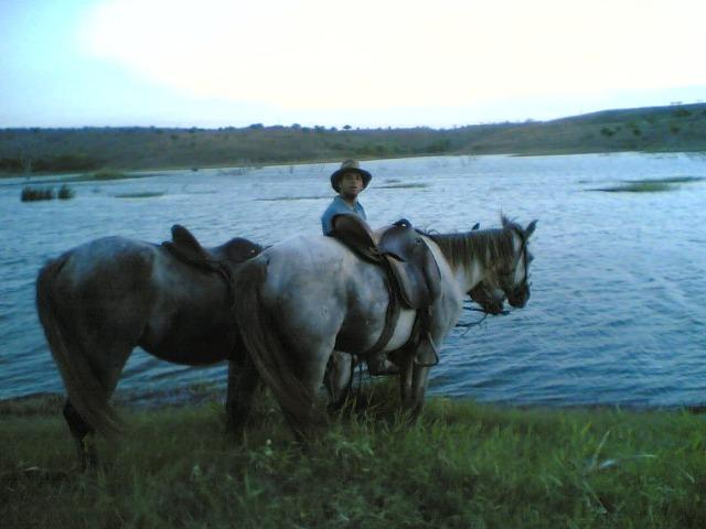 Cumaru=Vend. 15 mil p-Hect. Fazenda =Casa,Energia,Água,Piscina e muito mais - Foto 11