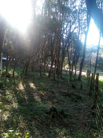 Chacara - Foto 10