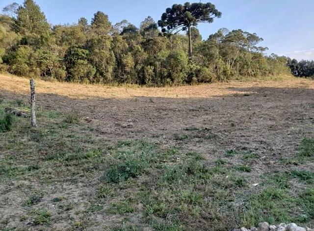 Terreno para chácara - Foto 2