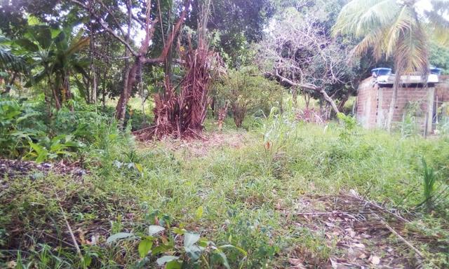Terrenos em abreu e lima sitio jaguaribe - Foto 3