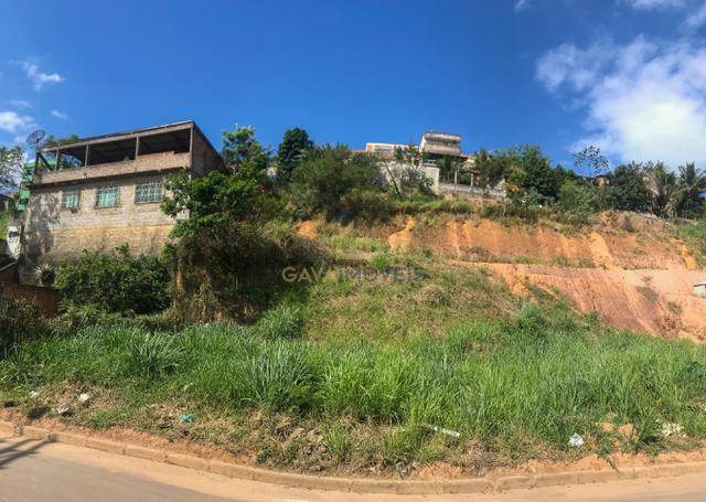Lote com 465m² ideal para o seu galpão! Muito perto da Rod Leste Oeste - Foto 5