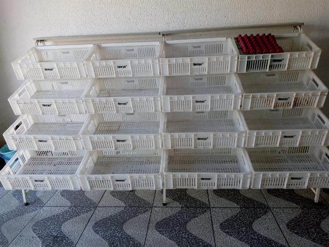 Fruteira para comércio - Foto 2