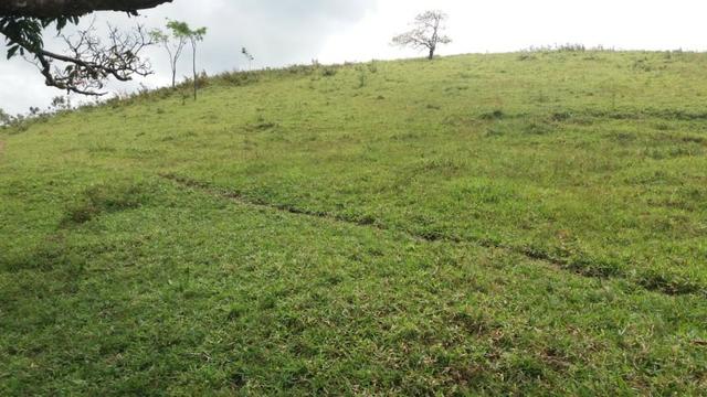 Gravatá=Vend. 300 mil- 24 Hect. Água,Energia,Pastos e muito mais - Foto 7