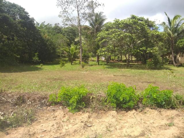 Vendo sítio pojuca ( pode financiar!) - Foto 11