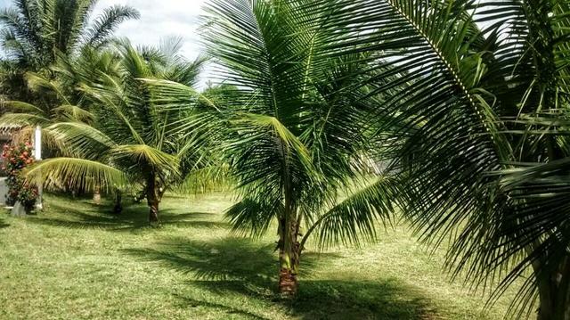 Sitio Para Eventos Tinguá- Feriados de Abril disponíveis - Foto 17